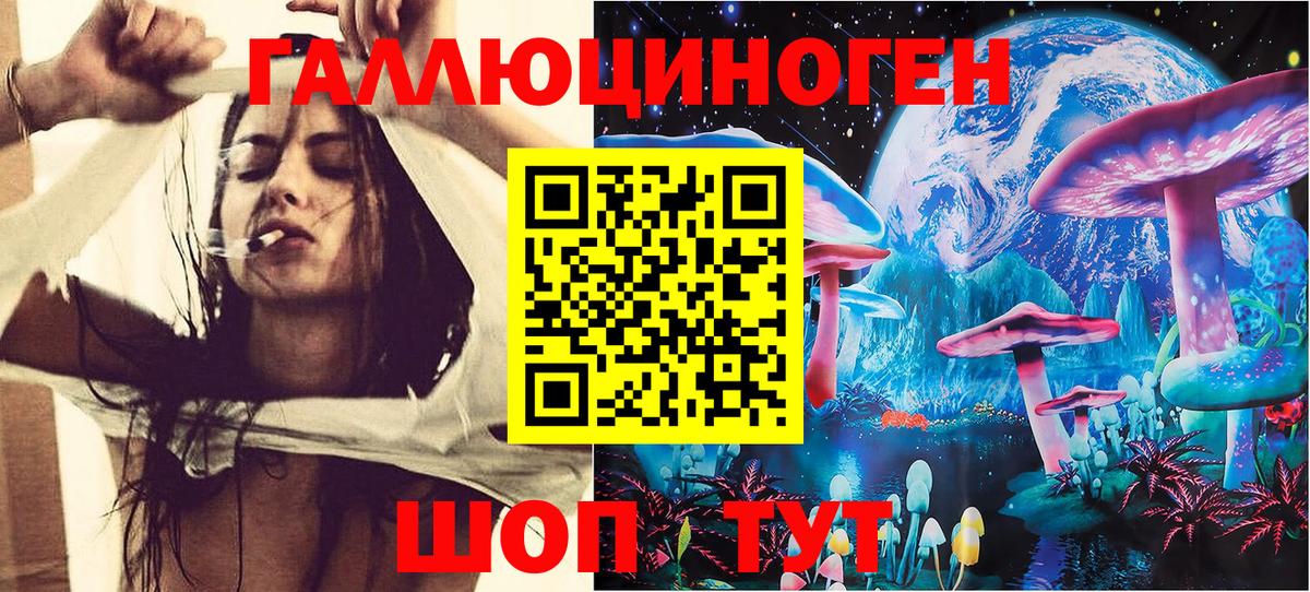Галлюциногенные грибы GOLDEN TEACHER Каменка