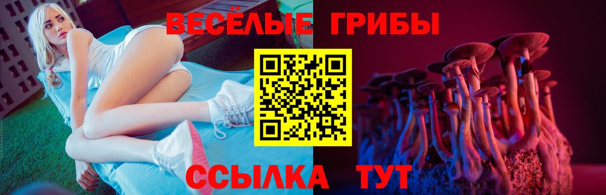 Каменка  Галлюциногенные грибы прущие грибы  Вход с VPN 